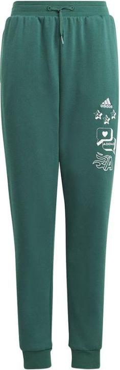 adidas BLUV Q3 Pant Jr (164)
