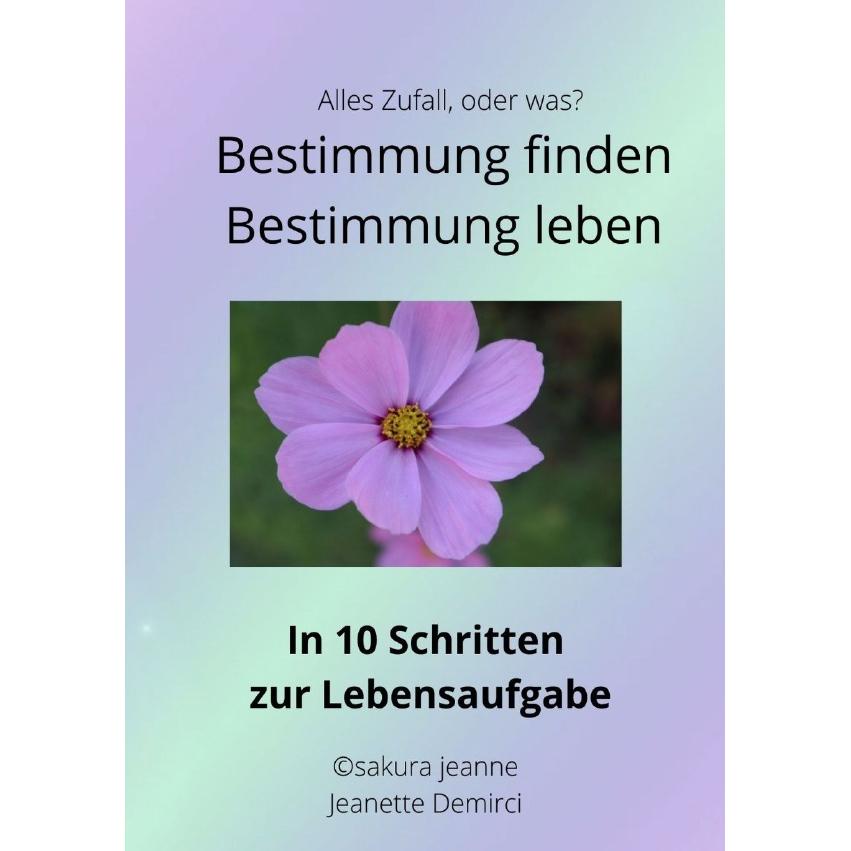 Alles Zufall, oder was?, Schulbücher von Jeanette Demirci
