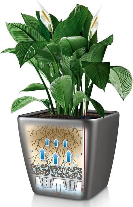 Actual product image Lechuza Quadro LS (43 cm)