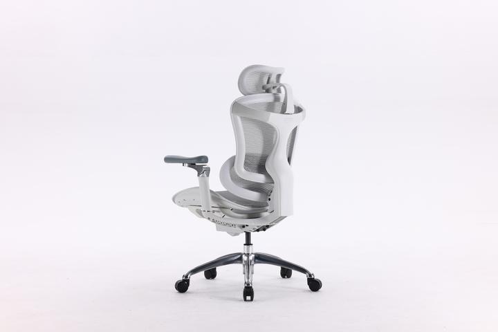 Image du produit Sihoo Doro C300