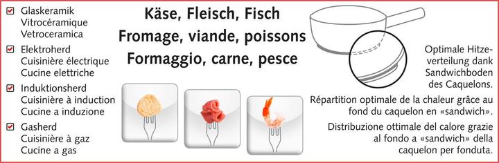 Produktbild Koenig Fondue Set One for all (Käsefondue, Fondue Chinoise)