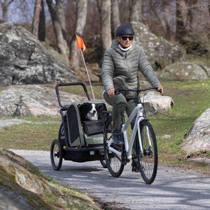 Image du produit hamax Pluto