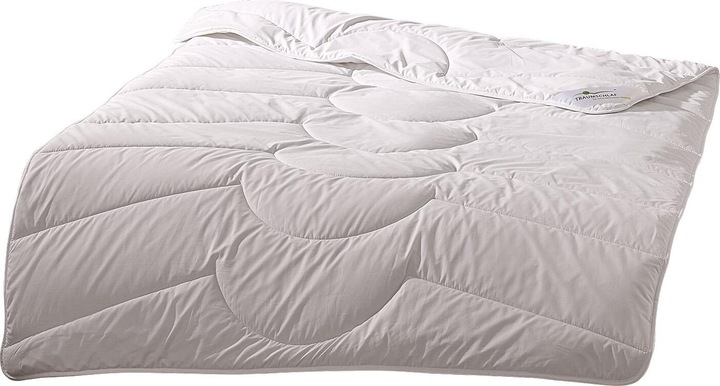 Actual product image Traumschlaf Kamelhaar Nature (1630 g, 160 x 210 cm)