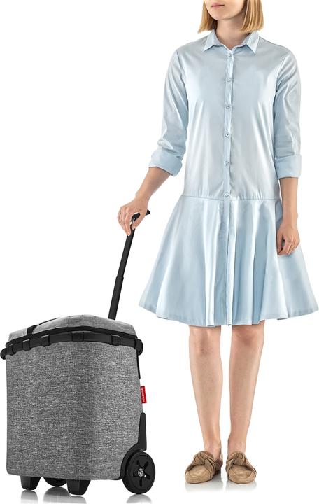 Actual product image reisenthel Carrycruiser (40 l)