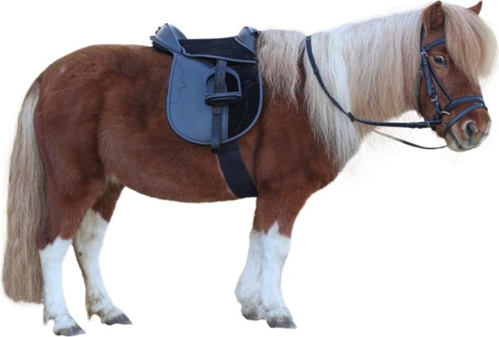 Actual product image Kerbl Panagiatis
