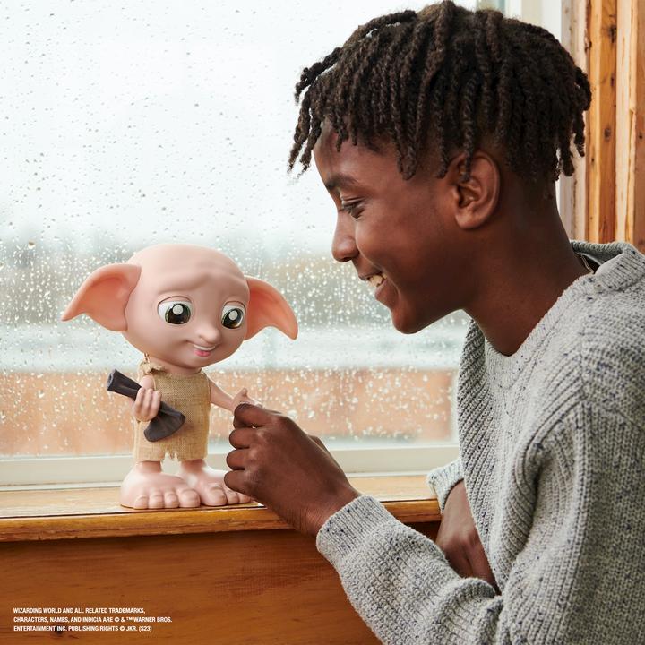 Actual product image Spin Master Harry Potter Interactive Dobby