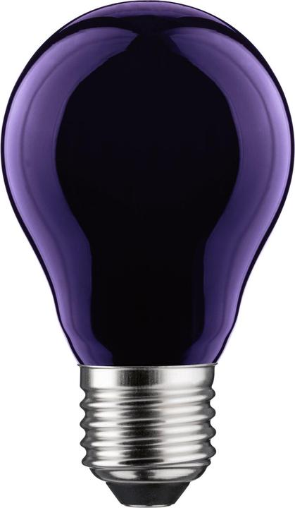 Produktbild Paulmann Allgebrauchslampe Schwarzlicht (E27, 105 lm, 1 x)