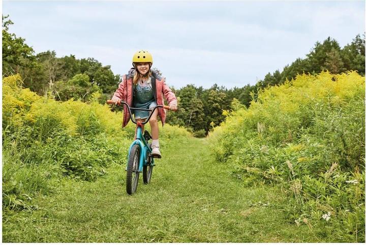 Immagine prodotto Hansaplast Verde e protezione (20 x)