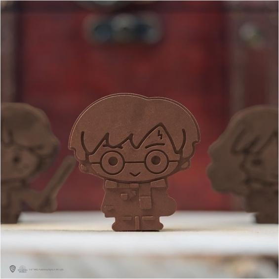 Actual product image Cinereplicas Harry Potter: chocolates/ice cube shape logos