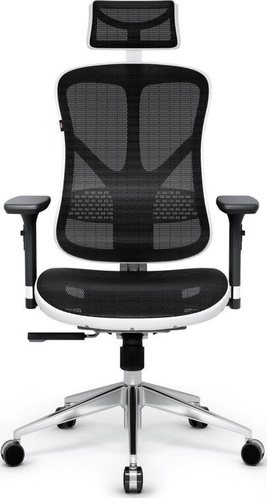 Immagine prodotto Diablo V-Basic