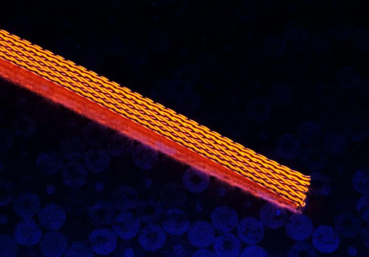 Actual product image Techflex Flexo PET Sleeve 6mm (Cable conduit, 100 cm)