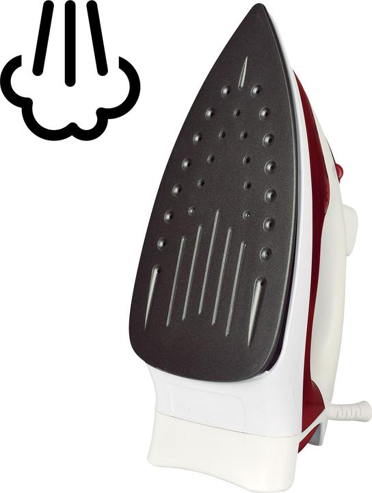 Actual product image Rotel Steam iron (2200 W)