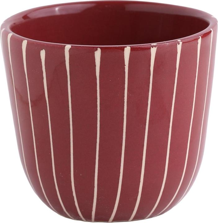 dark red striped, White