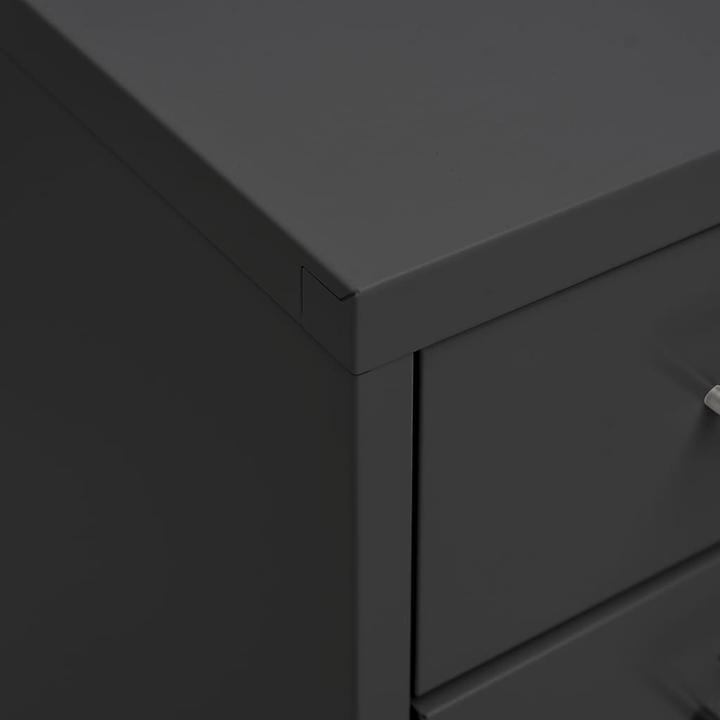 Image du produit vidaXL Büroschrank (28 x 41 x 109 cm)