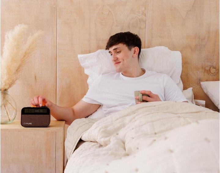 Actual product image Pure Moment (FM, DAB+, Bluetooth)