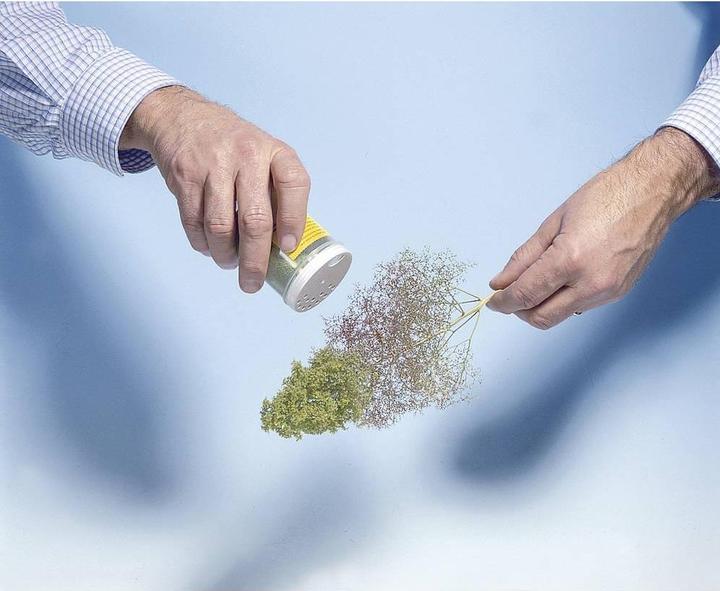 Image du produit Noch Ébauches d'arbres