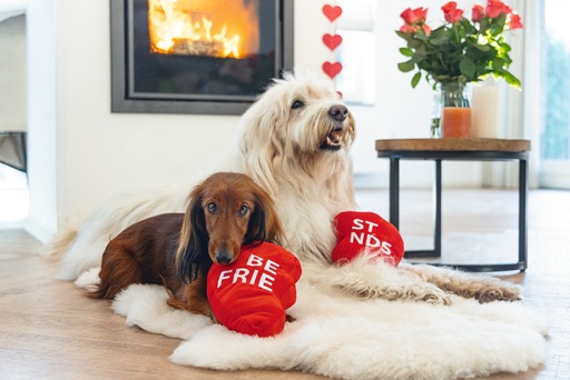 Image du produit Beeztees Meilleurs amis (Jouet en peluche chien)