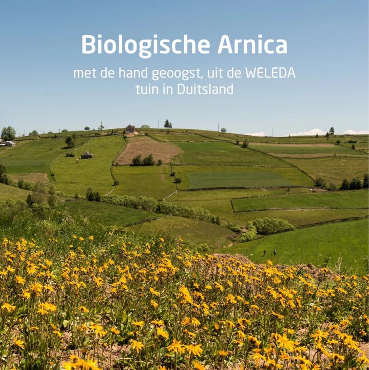 Produktbild Weleda Arnika Sport (200 ml)