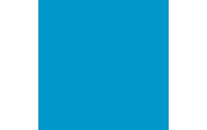 Actual product image Amsterdam Acrylfarbe Standard Series 572 (120 ml)