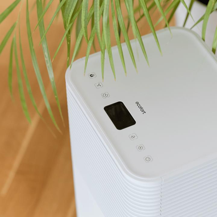 Actual product image ecofort ecoQ 12L Essential (30 m², 12 l/24h)