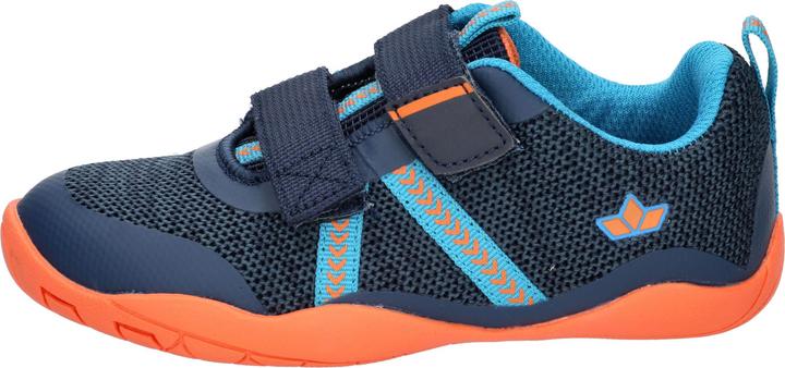 Image du produit Lico Aride V (25)