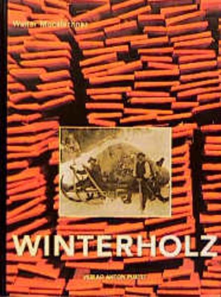 Produktbild Winterholz (Deutsch, Walter Mooslechner, 2009)