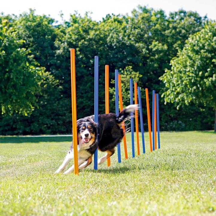 Produktbild Trixie Fun Agility Slalom (Agility)
