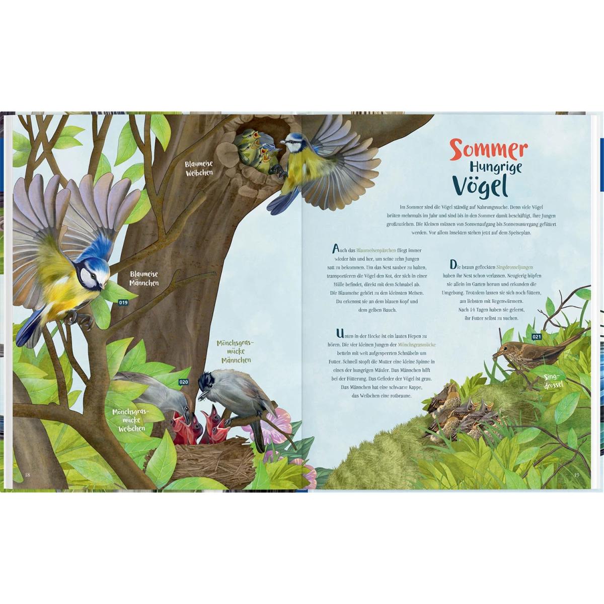 Thumbnail - Mein Vogelbuch, Kinderbücher von Svenja Ernsten