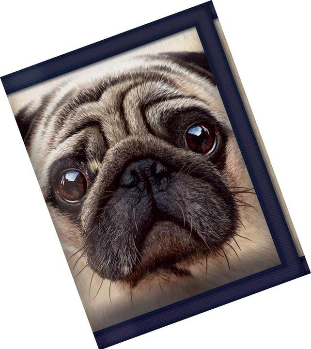 Actual product image LiveLife 3D D Geldbörse Mops