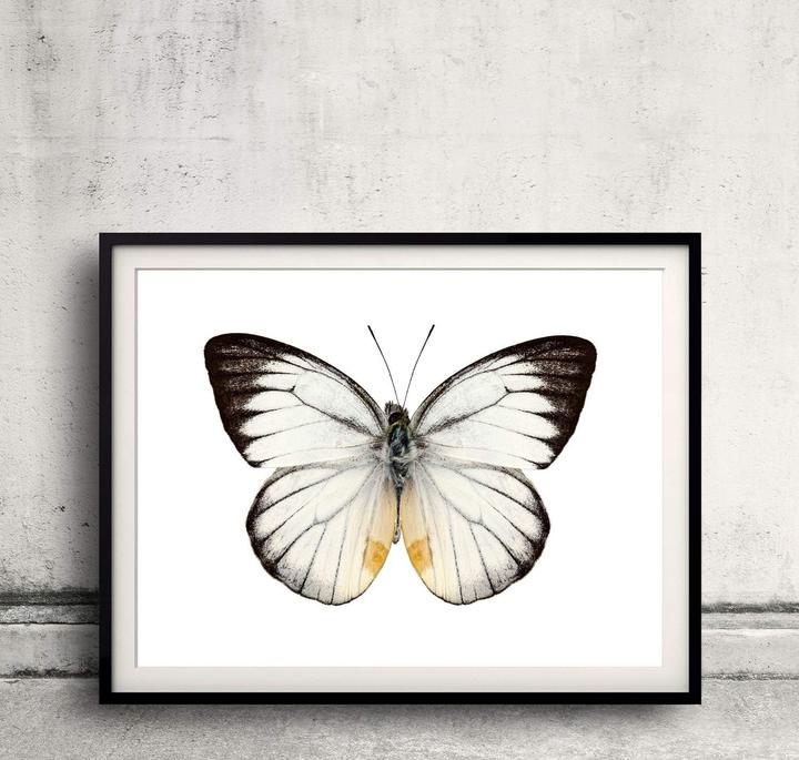 Produktbild Piko Flexgleis (Spur H0)