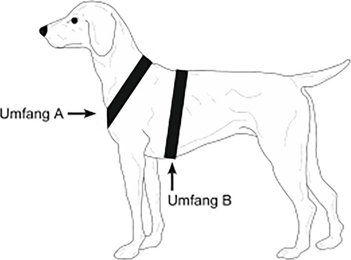Produktbild Niggeloh Follow Light (S, Hund, Allgemein, Spazieren)