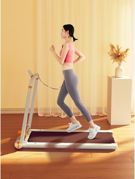 Image du produit KingSmith WalkingPad MC21