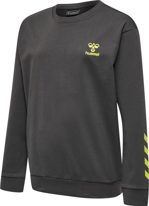 Produktbild hummel Offgrid Cotton Sweatshirt Kids (176)