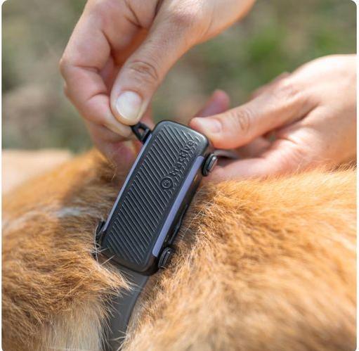 Image du produit Tractive GPS Dog 6 - Clips en caoutchouc (Chien, Sport canin)