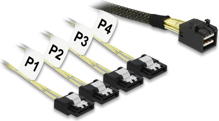 Image du produit Delock Câble Dellock SAS (50 cm, SAS, SATA III)