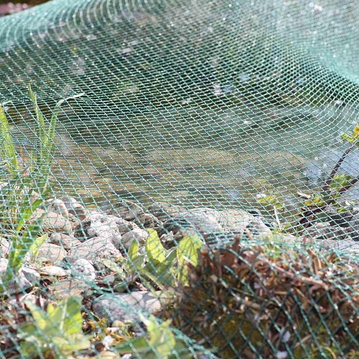 Image du produit Siena Garden Filet de couverture de bassin