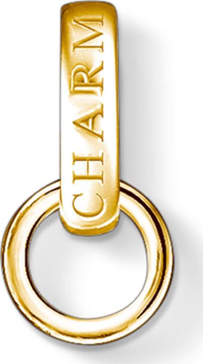 Image du produit Thomas Sabo Carrier 925 (Argent 925)