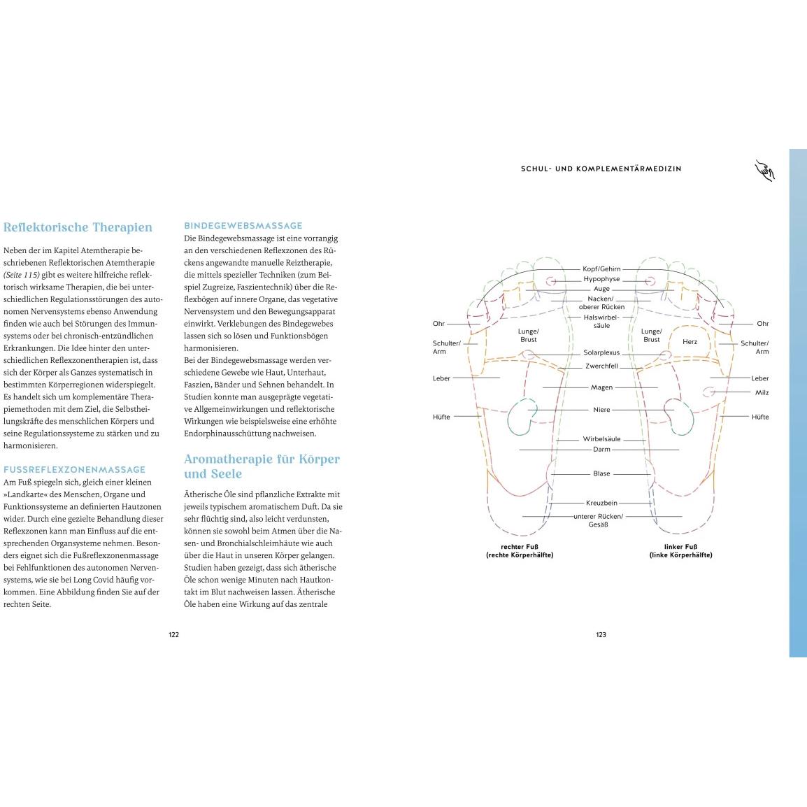 Thumbnail - Der Kiefer-Code, Ratgeber von Hamide Farshi