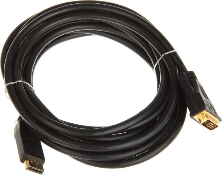 Actual product image InLine DisplayPort — DVI (5 m)