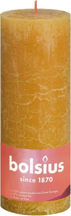 Image du produit Bolsius Andres (4 pcs)