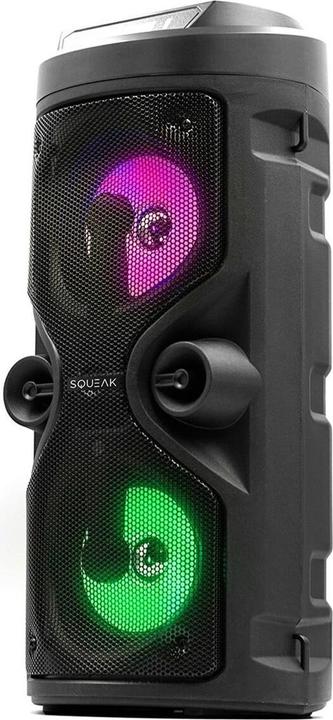 Squeak Głośnik Karaoke Harmony Bluetooth 5.0 Radio Fm Microsd Aux USB Sq1004 (8 h)