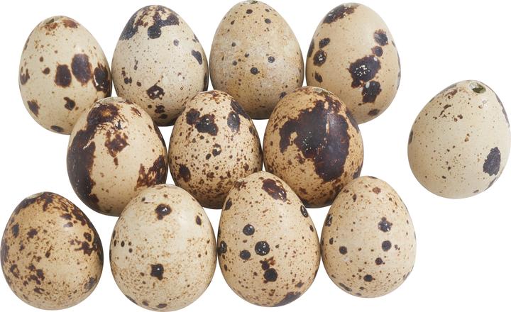 Actual product image VBS Quail eggs (12x)