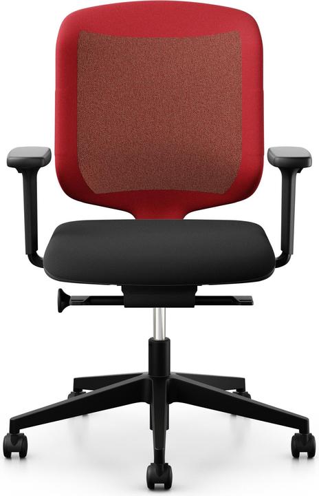 Immagine prodotto Giroflex 434-3019
