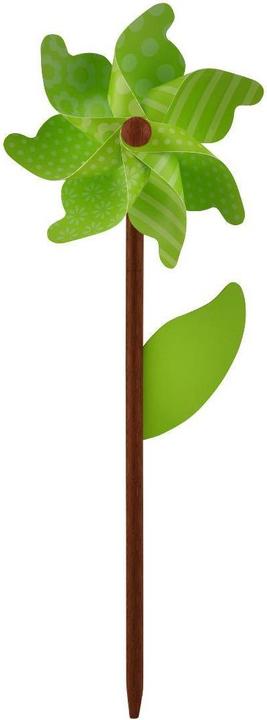 Grün/gelb, Grün/grün, Schwarz/Weiss