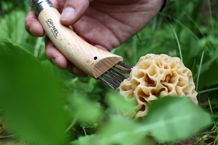 Produktbild Opinel Pilzmesser (8 cm)