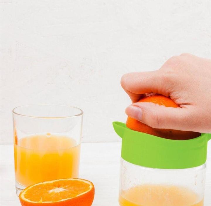 Actual product image Champ Juicer