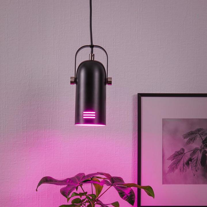 Produktbild Paulmann Neordic Lavea (E27)