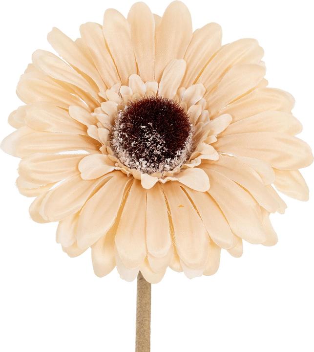 Immagine prodotto Hill Interiors Soffice Gerbera Gerbera Fiore Artificiale (53 cm)