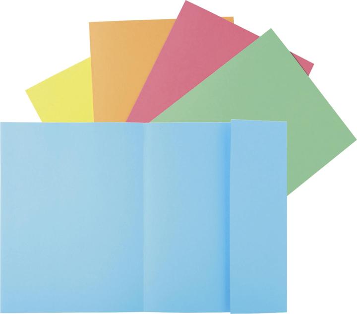 Actual product image Exacompta Collection folders - File covers (A4, 50 x)