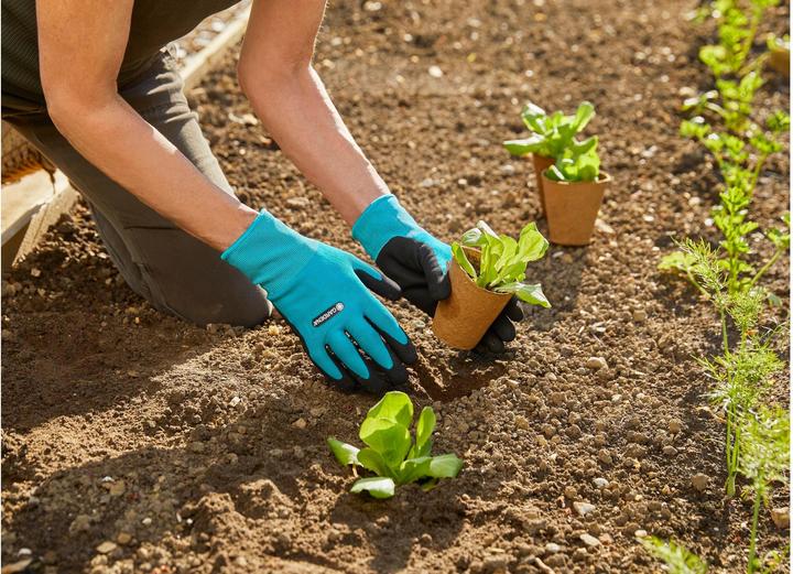 Produktbild Gardena Pflanz und Bodenhandschuh (XL)